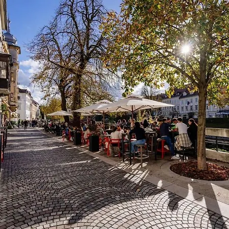 Apartma Little M's Kept Secret App